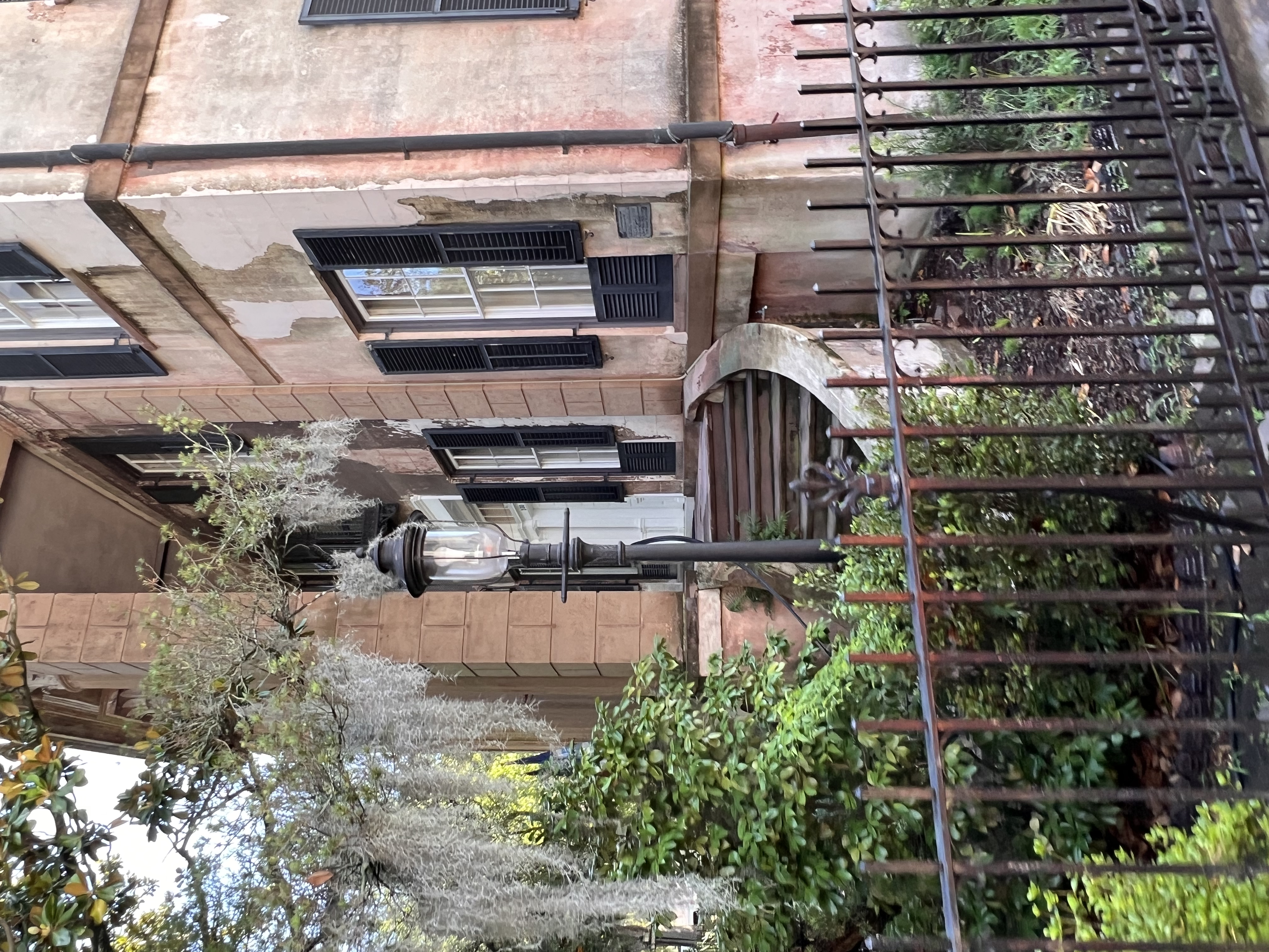 ./2025/06 - Savannah/IMG_1103.jpg